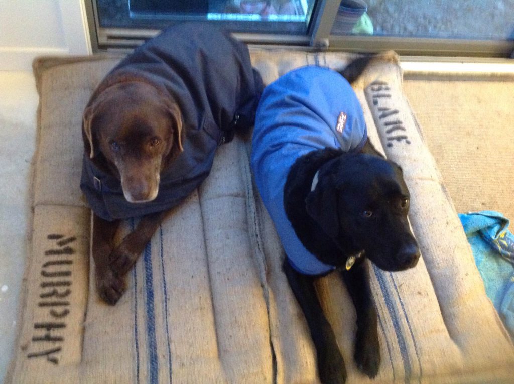 Large Natural Hessian Wool Dog Beds