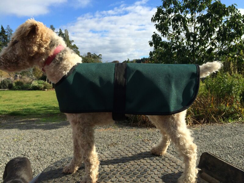 Dog Rain Jackets - Image 8