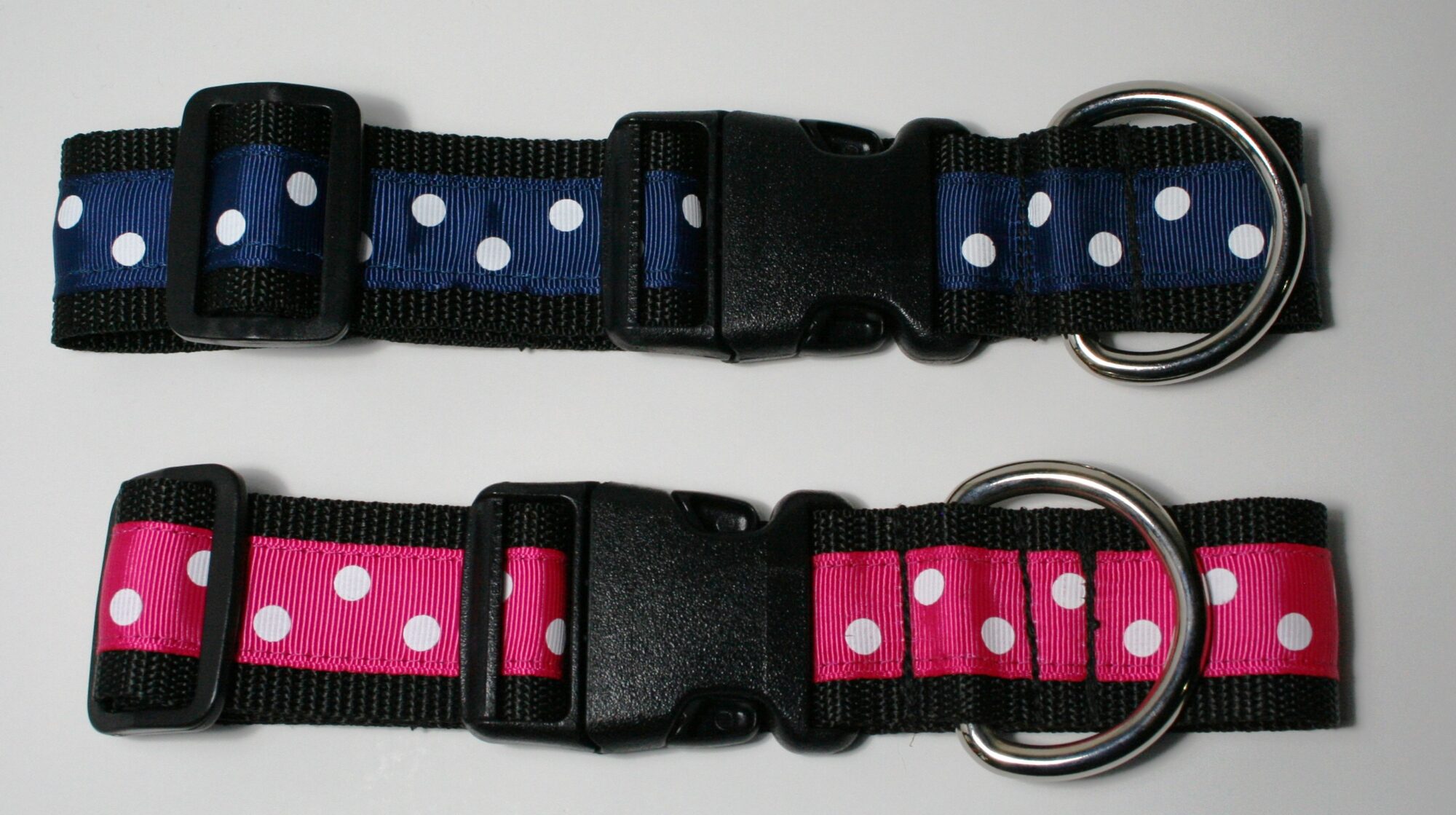 Designer Dog Collars Adjustable Strong Made in New Zealand