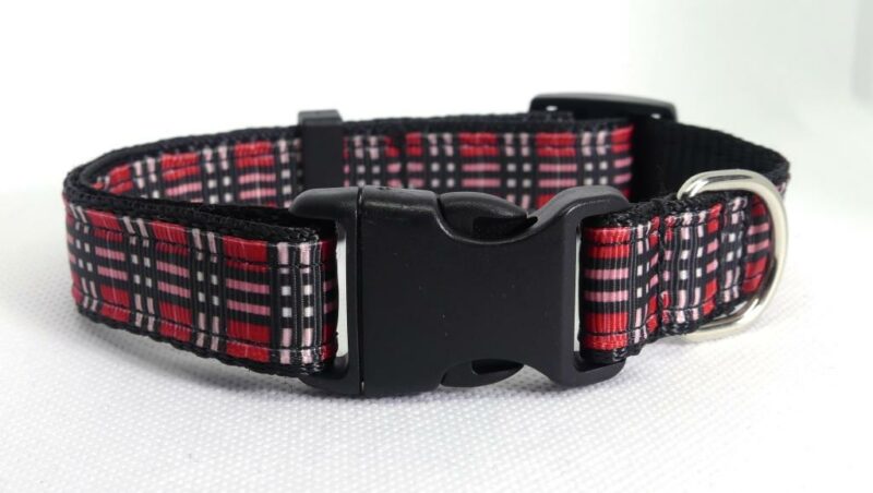 Designer Dog Collar Medium -19mm - Image 2