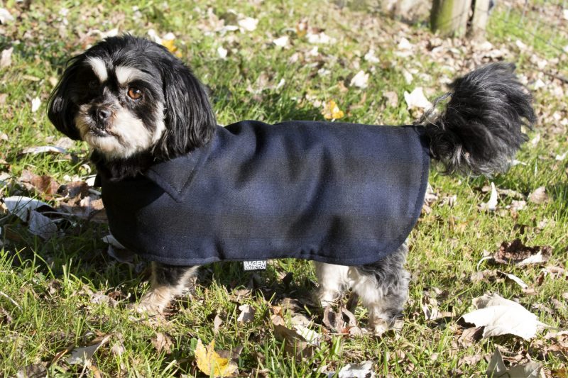 Designer Wool Dog Coat - Image 12