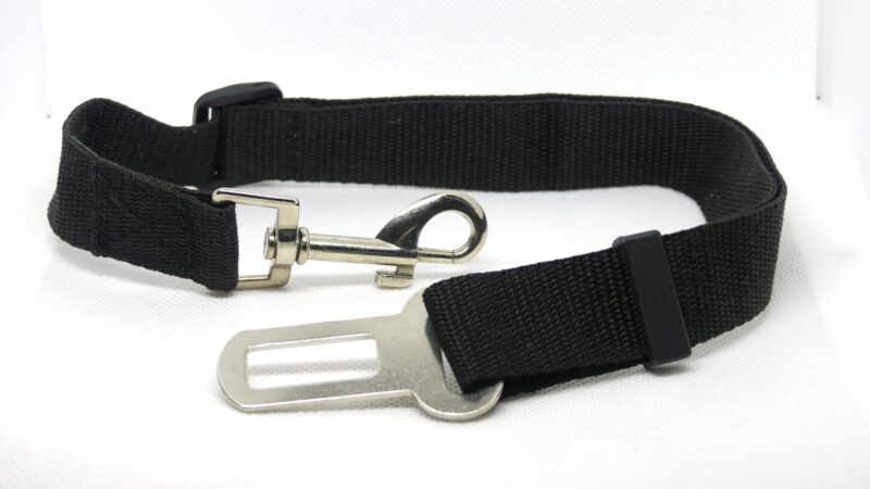 Pet Car Seat Belt