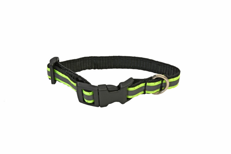 High Vis Dog Collars - Image 7
