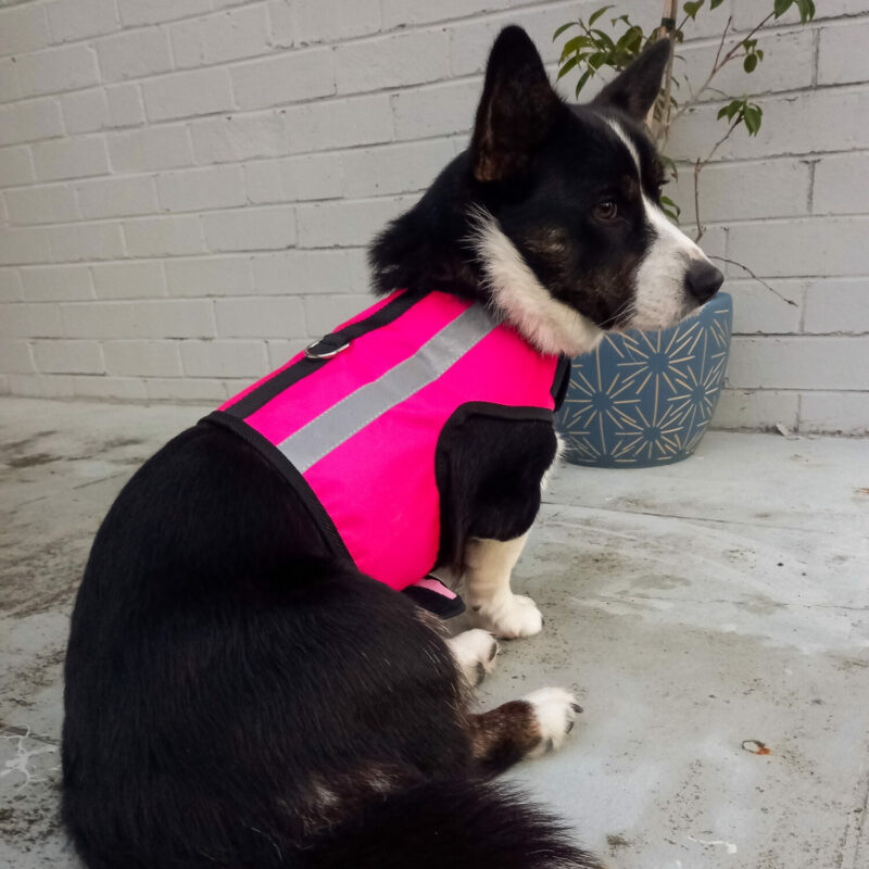 High Vis Safety Dog Harness - Image 14