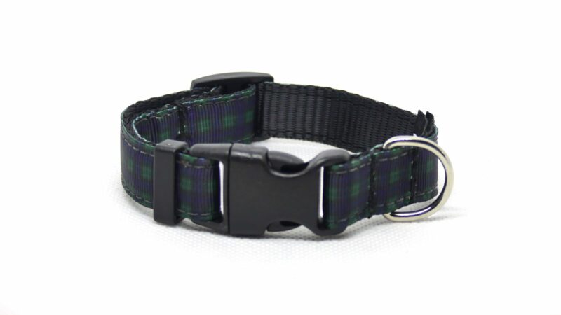 Designer Dog Collar Medium -19mm - Image 14