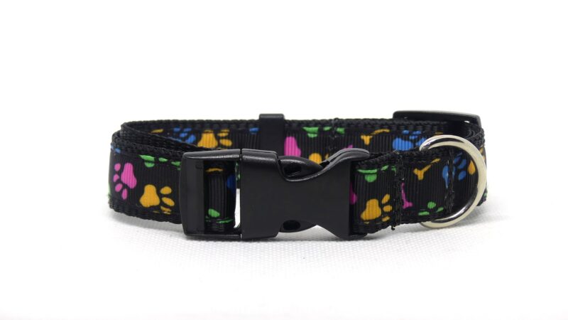Designer Dog Collar Medium -19mm - Image 13
