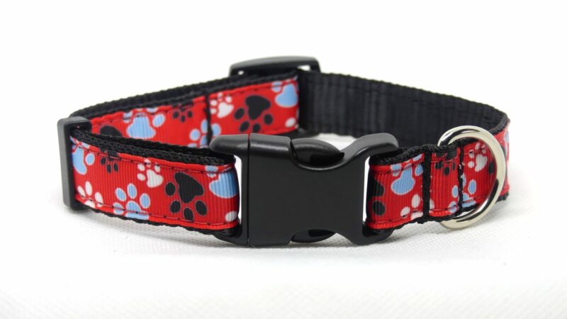 Designer Dog Collar Medium -19mm - Image 12