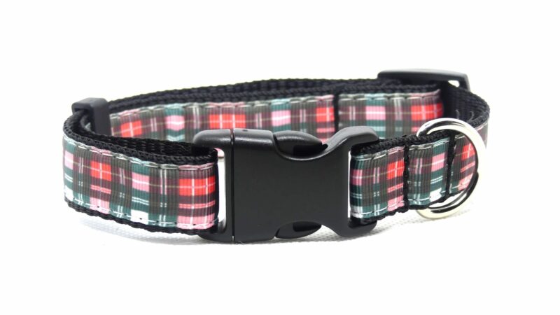 Designer Dog Collar Medium -19mm - Image 7