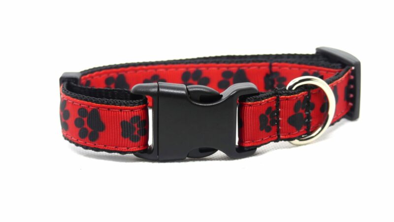 Designer Dog Collar Medium -19mm - Image 9