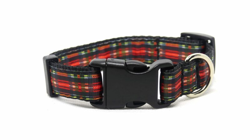 Designer Dog Collar Medium -19mm - Image 5