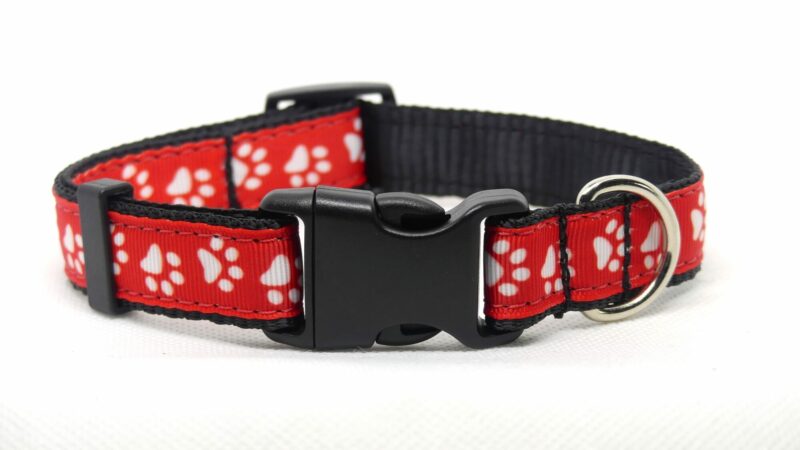 Designer Dog Collar Medium -19mm - Image 8