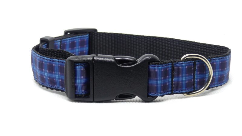 Designer Dog Collar Medium -19mm - Image 16