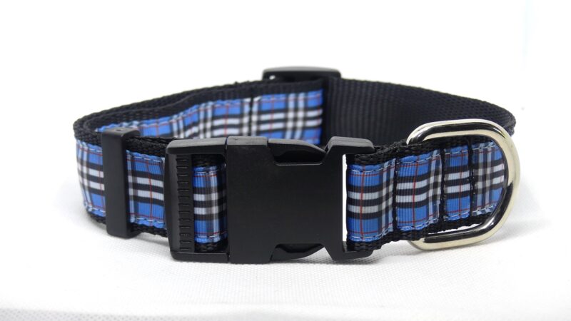 Designer Dog Collar X-Large - 32mm - Image 14