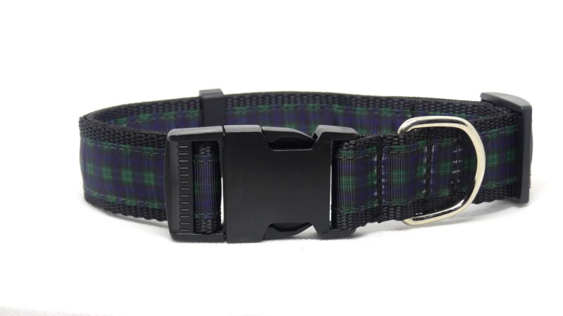 Designer Dog Collar X-Large - 32mm - Image 8