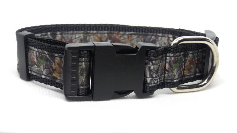 Designer Dog Collar X-Large - 32mm - Image 20