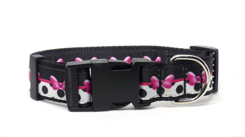 Designer Dog Collar XX-Large - 38mm
