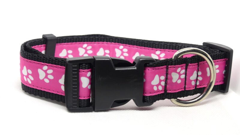 Designer Dog Collar X-Large - 32mm - Image 34