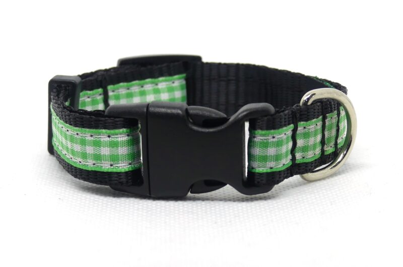 Designer Dog Collar Medium -19mm - Image 21