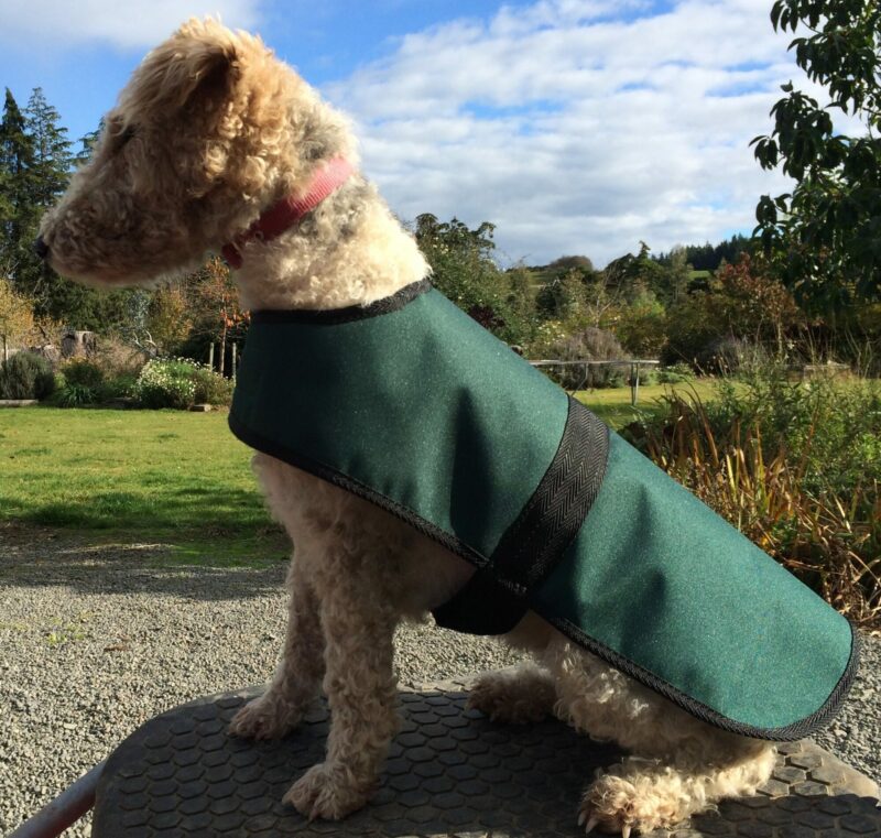 Dog Rain Jackets