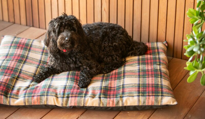 Designer Wool Dog Bed - Image 8