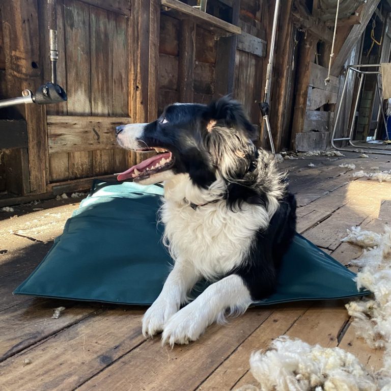 Tough Waterproof Dog Bed Natural Hessian Bed Combo