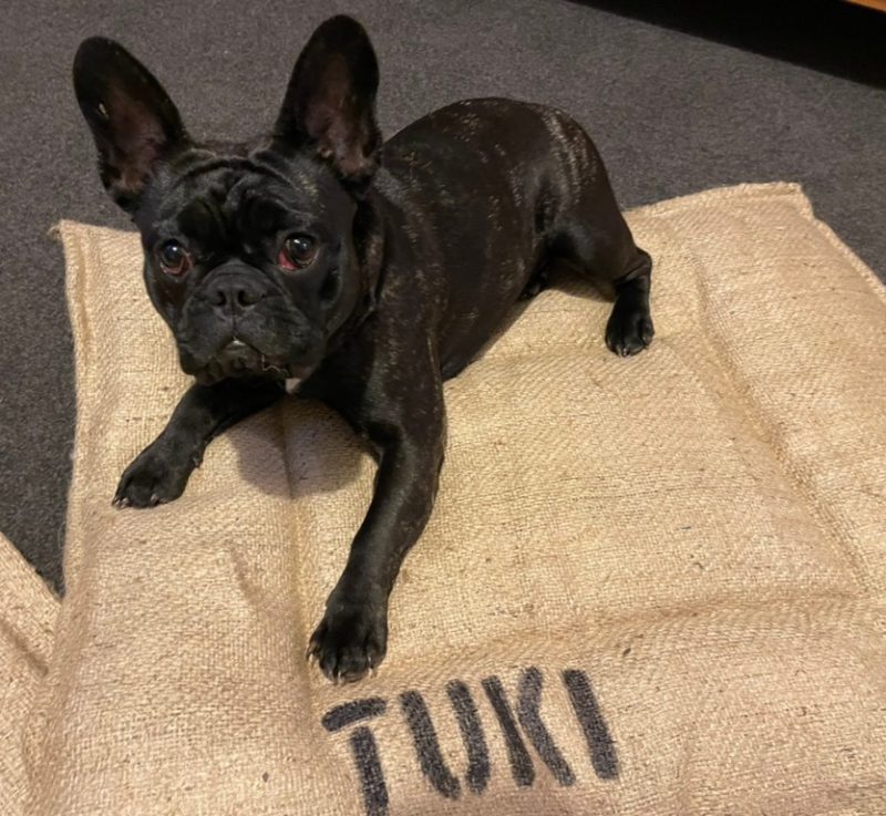 Natural Hessian Dog Bed - Medium
