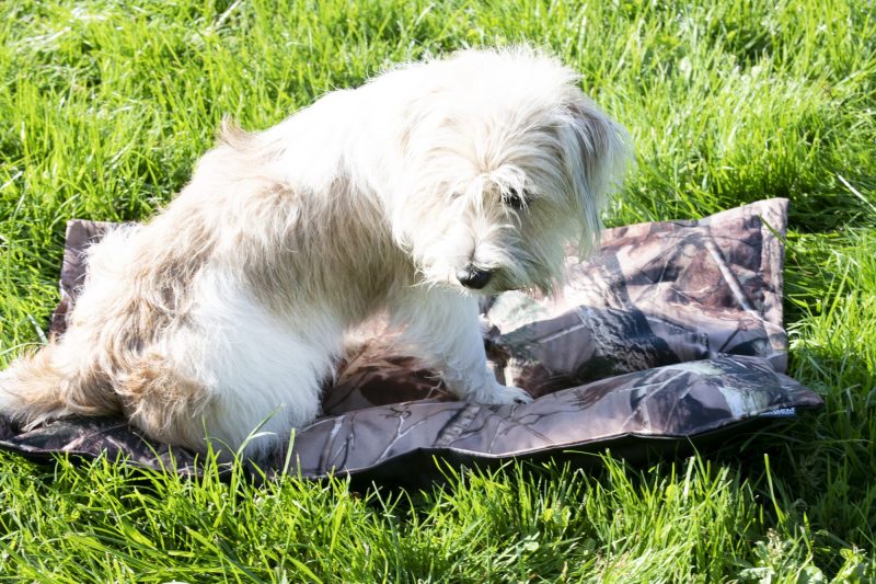 Camo Canvas Pet Bed - Image 5