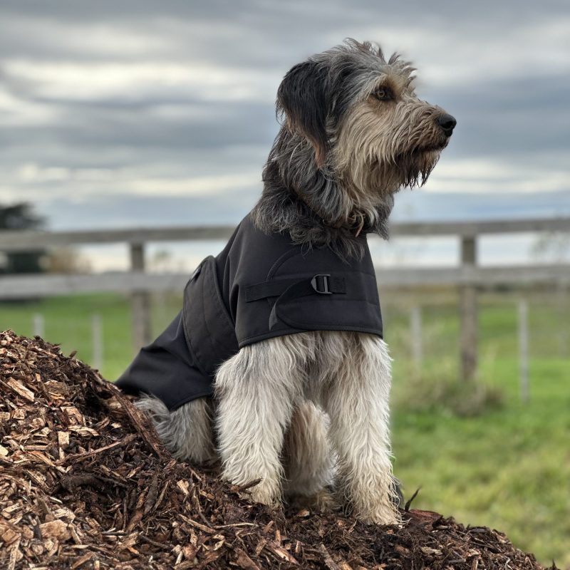 Dog Jacket - Waterproof