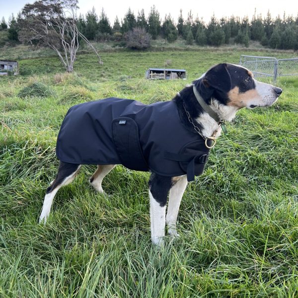 Waterproof Wool Lined Working Dog Jacket