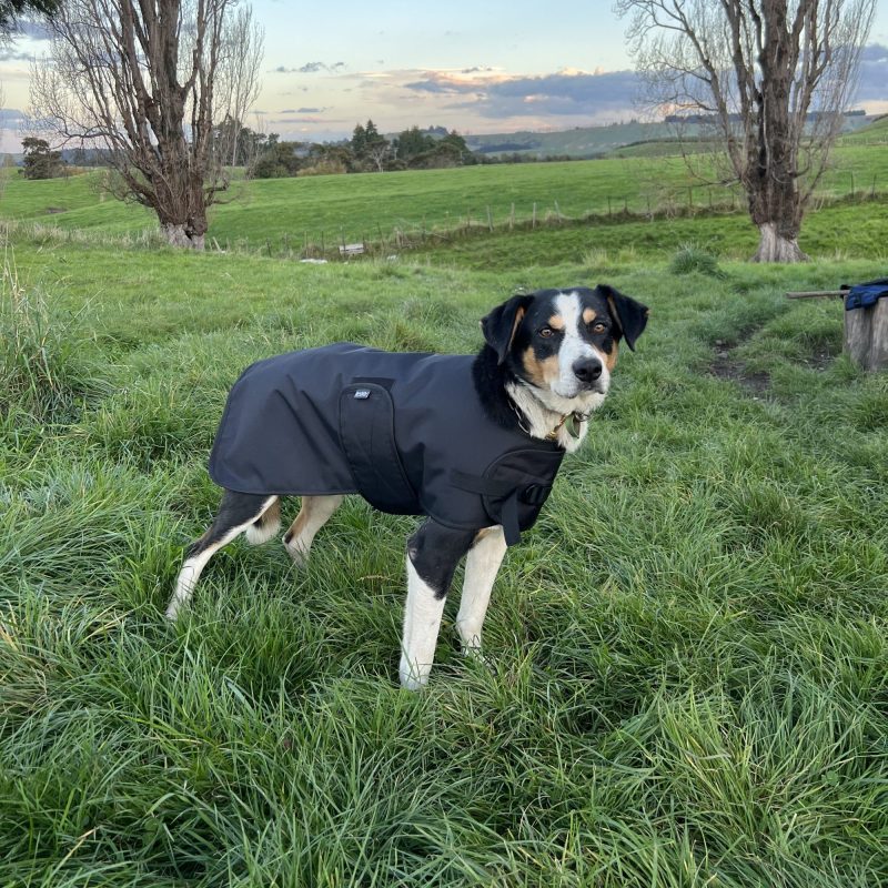 Waterproof Wool Lined Working Dog Jacket - Image 4