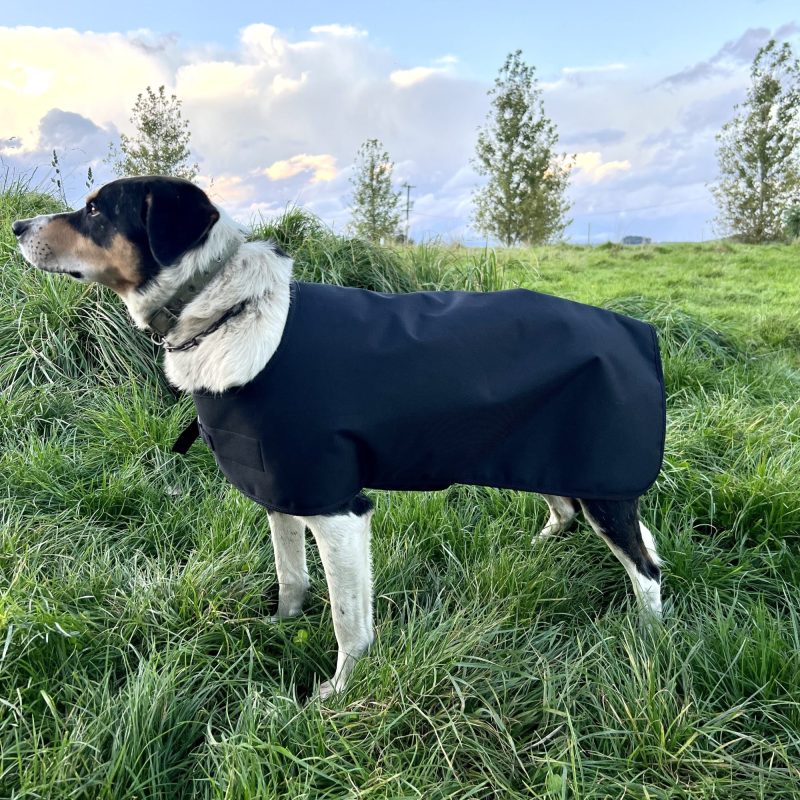 Waterproof Wool Lined Working Dog Jacket - Image 6