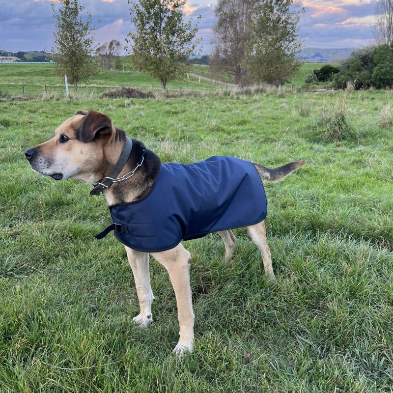Waterproof Wool Lined Working Dog Jacket - Image 2