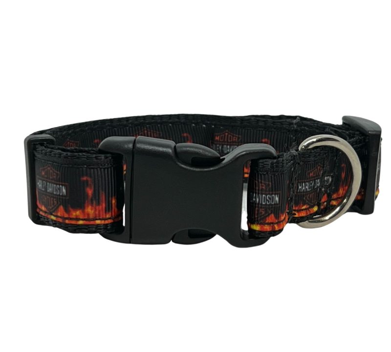 Designer Dog Collar Medium -19mm - Image 22