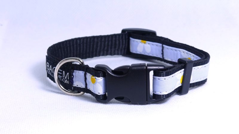 Designer Dog Collar Small -16mm - Image 26