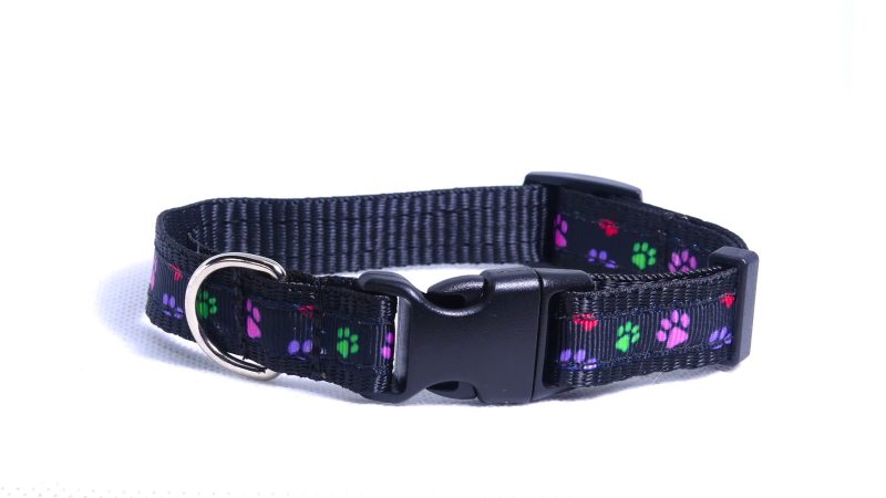Designer Dog Collar Small -16mm - Image 27