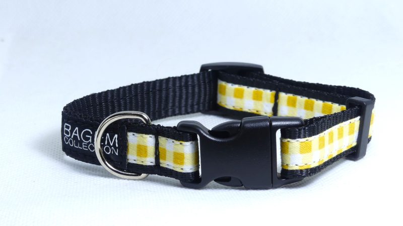 Designer Dog Collar Small -16mm - Image 28