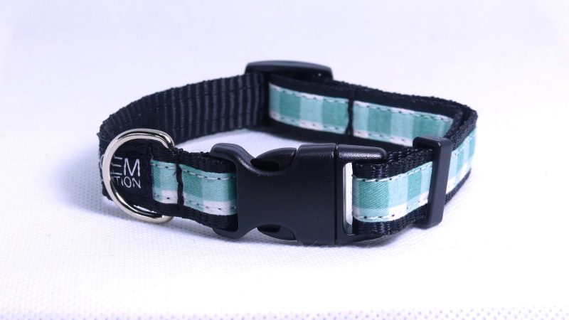 Designer Dog Collar Small -16mm - Image 25