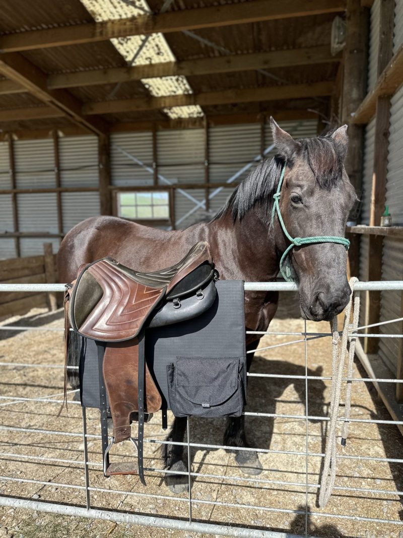 Saddle Blanket - Image 2