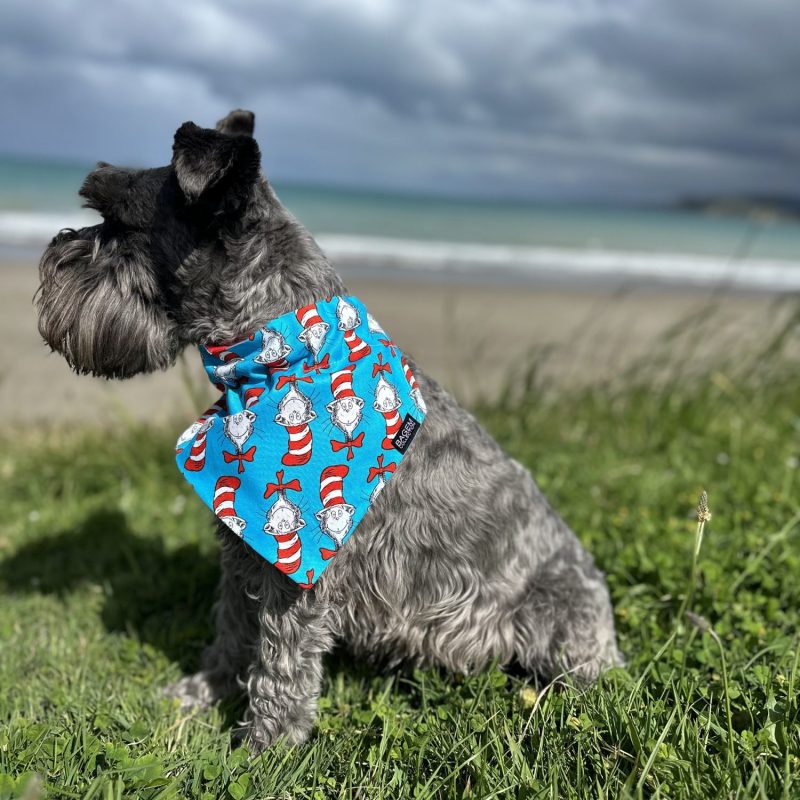 Reversible Pet Bandana