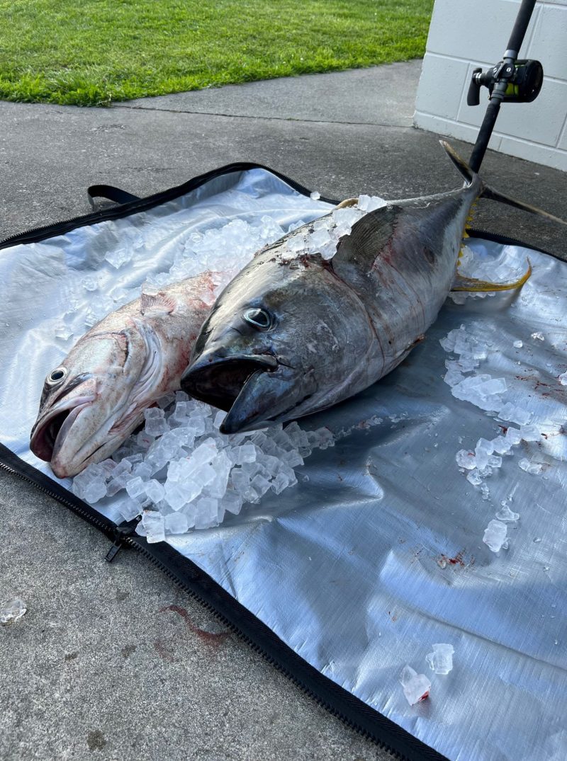 Fish Cooler Bag-Kingfish Cooler Bag