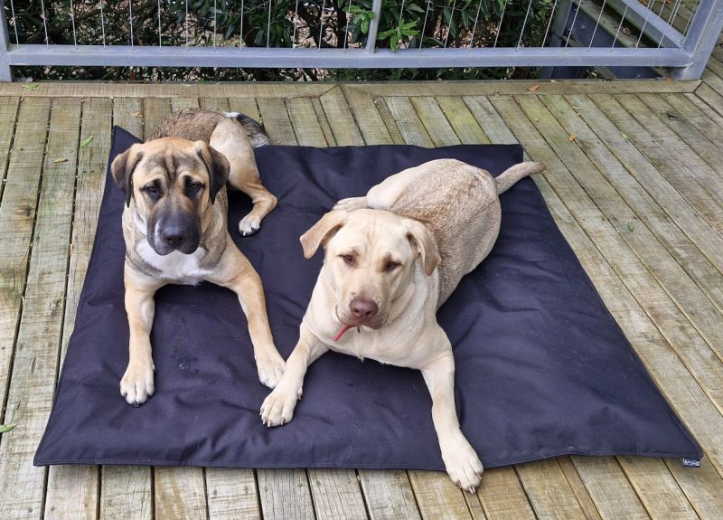 Tough Waterproof Dog Bed- Extra Large