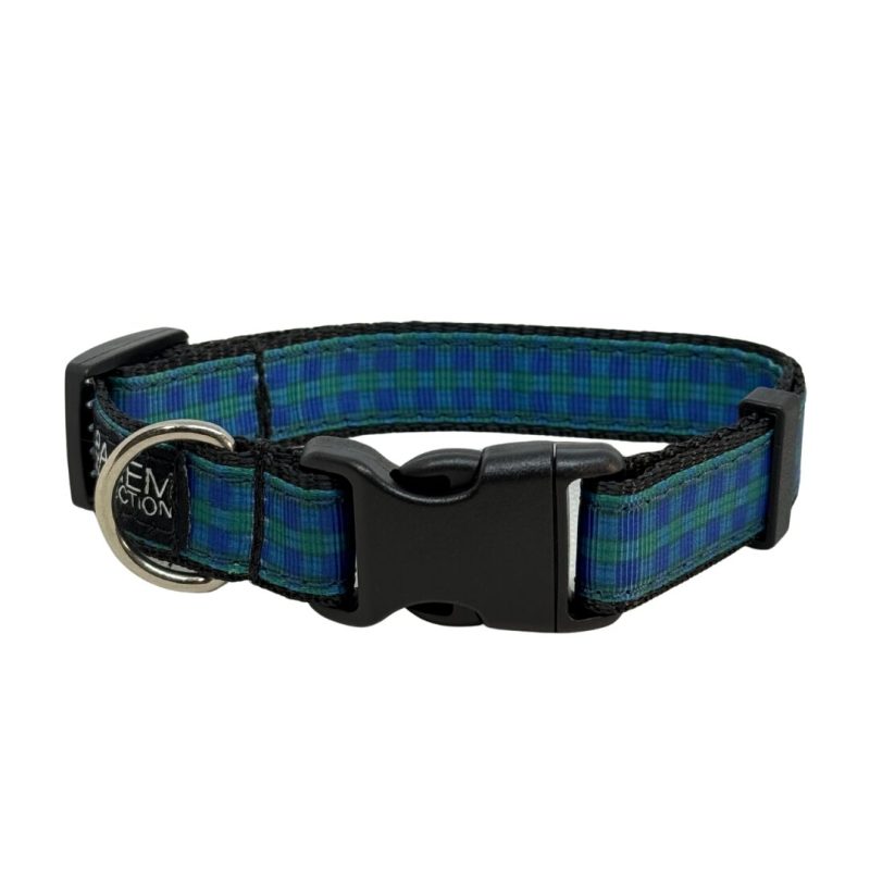 Designer Dog Collar Large - 25mm - Image 35