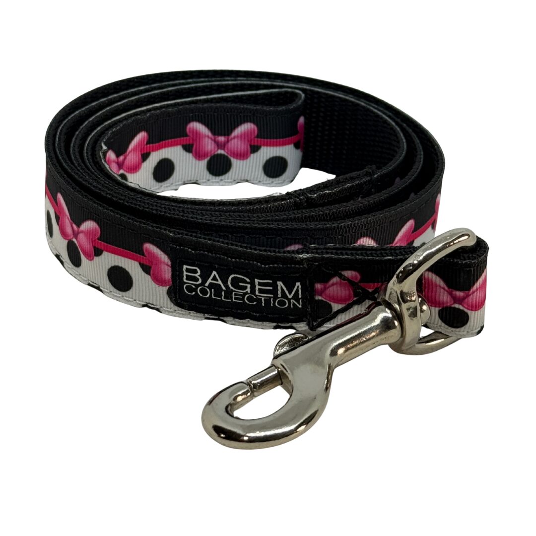 Designer Dog Leads