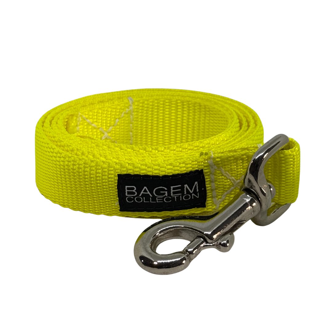 Essential Dog Leads