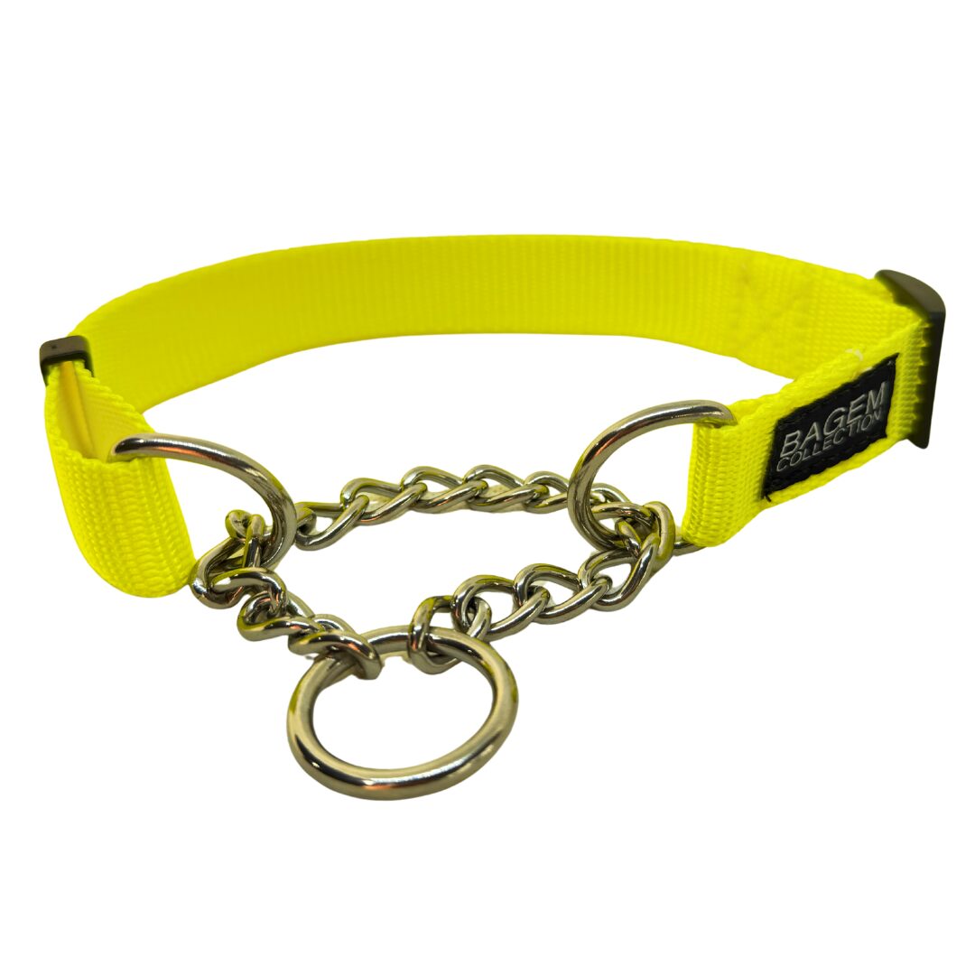 Martingale Dog Collar - Image 6