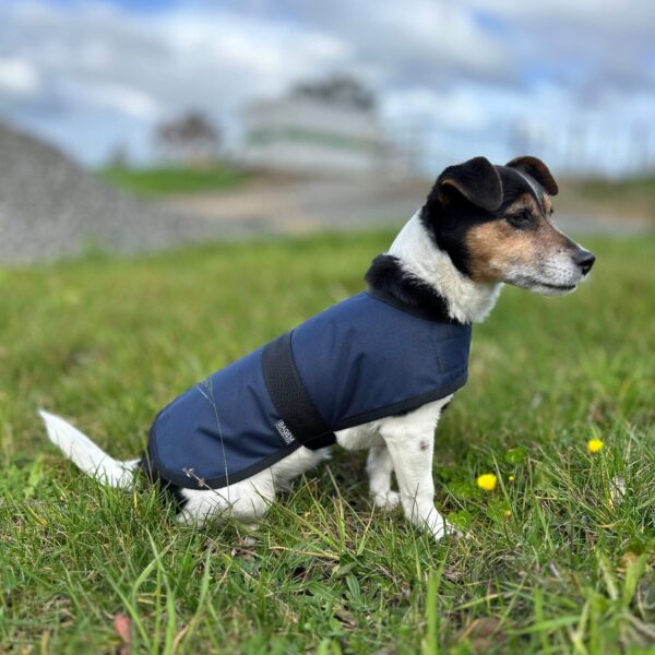 Dog Rain Jackets