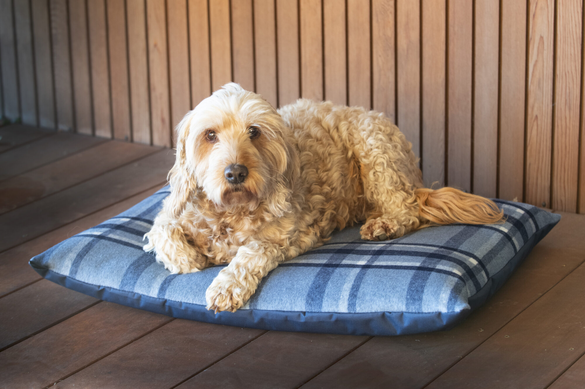 Designer Wool Dog Bed - Image 2