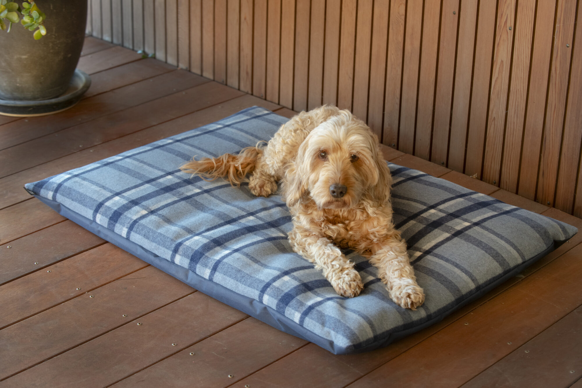 Designer Wool Dog Bed - Image 13